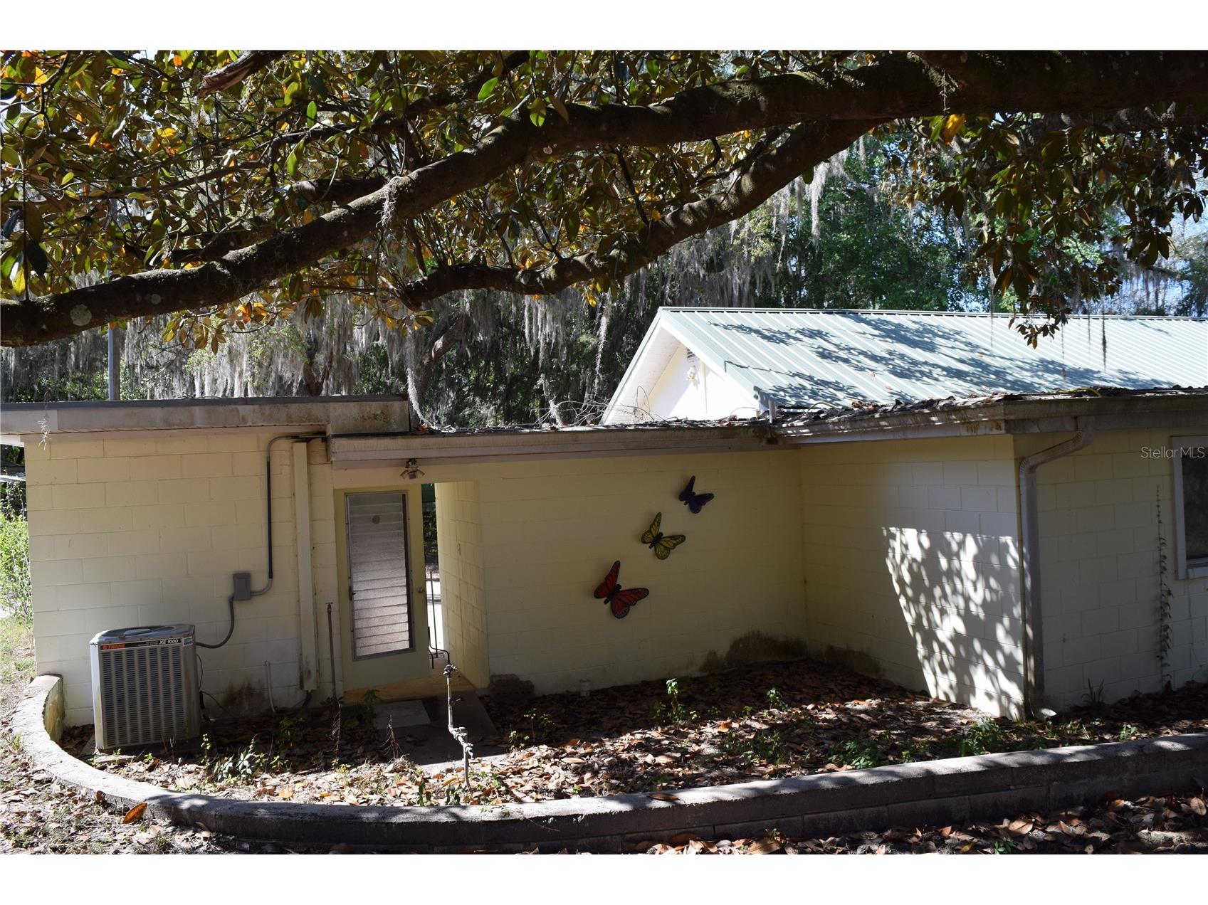121 Aweema Way Melrose FL 32666 - Little Swan Lake OM723075 image3