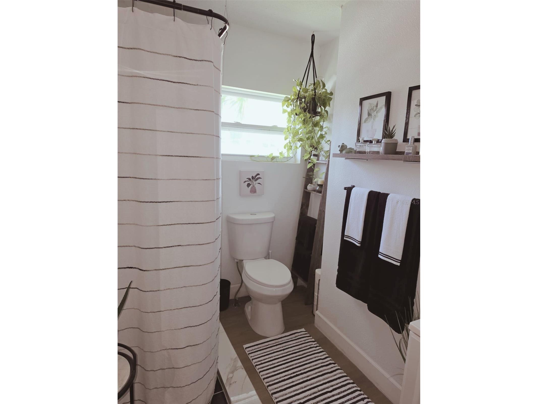 121 Bay Street Tarpon Springs FL 34689 O6426847 image12