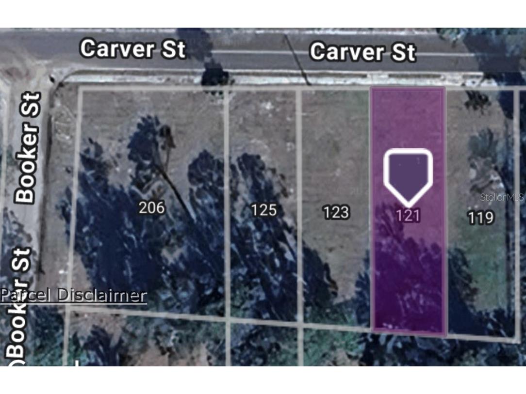 121 Carver Street Palatka FL 32177 OM714024 image1