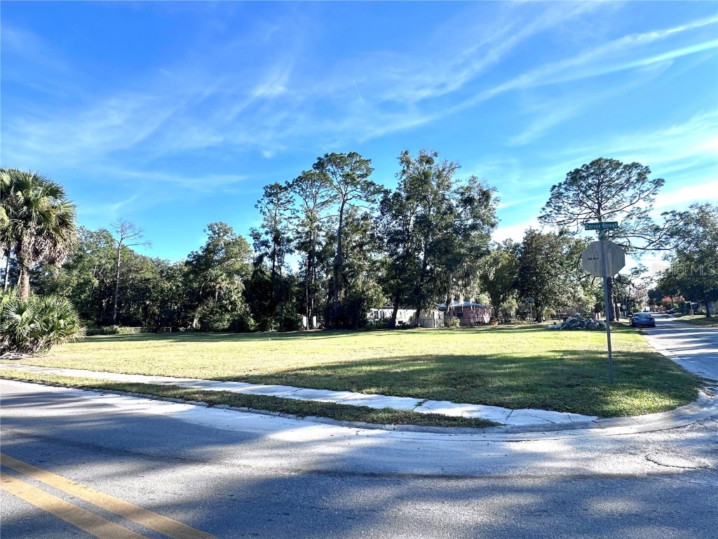 121 Carver Street Palatka FL 32177 OM714024 image5