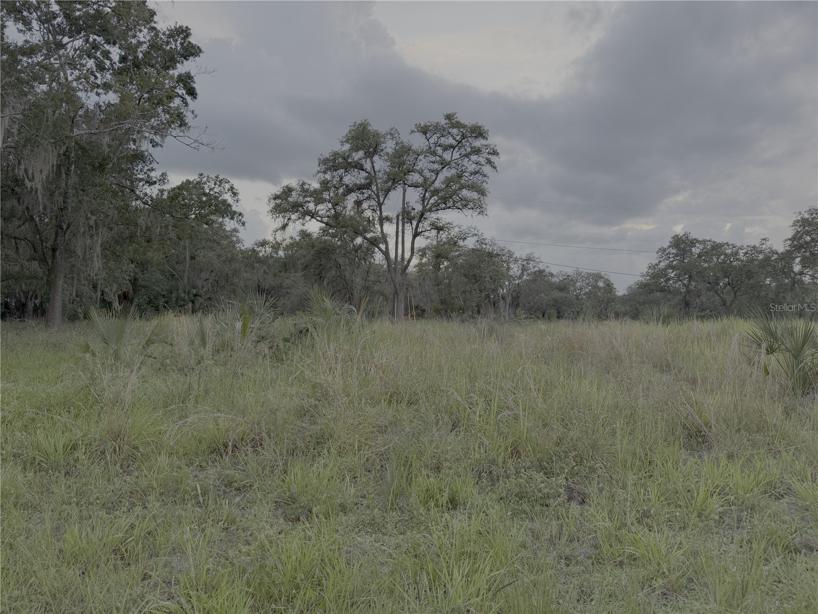 121 Central Avenue Davenport FL 33896 TB8520469 image1