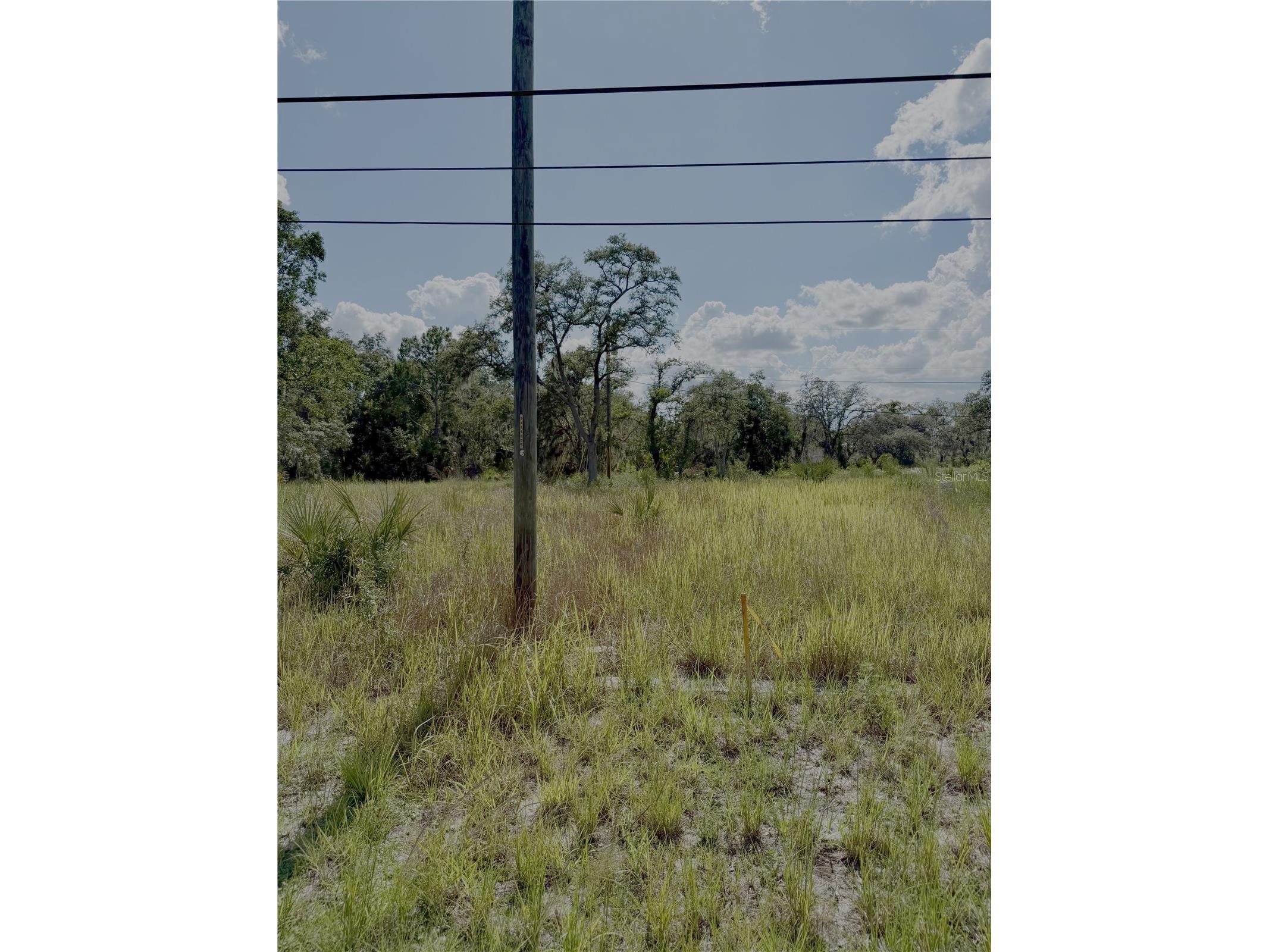 121 Central Avenue Davenport FL 33896 TB8520469 image2