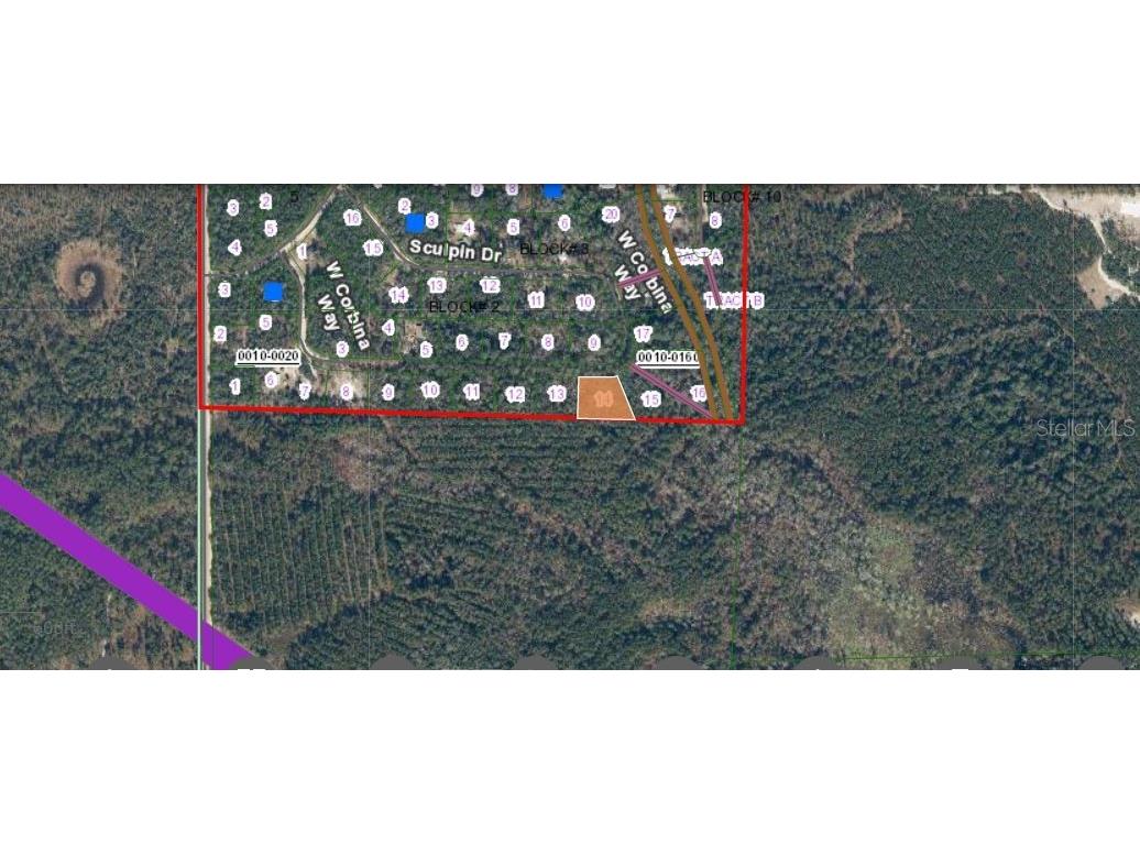 121 Corbina Way W Florahome FL 32140 O6293460 image2