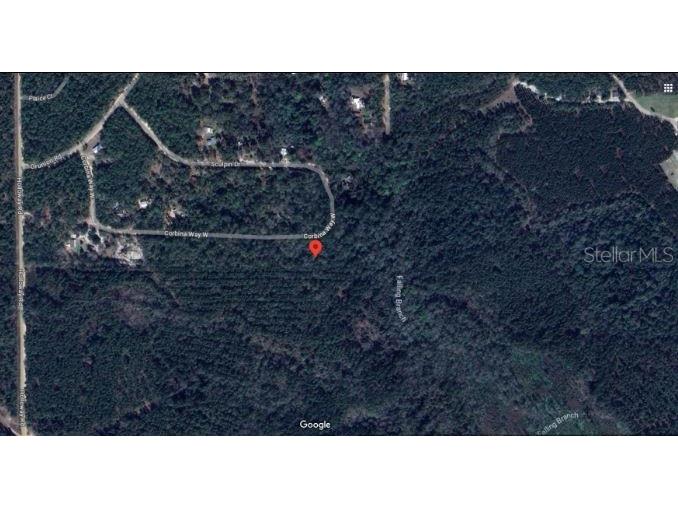 121 Corbina Way W Florahome FL 32140 O6293460 image4