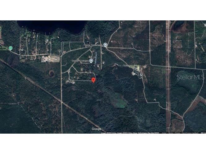 121 Corbina Way W Florahome FL 32140 O6293460 image5