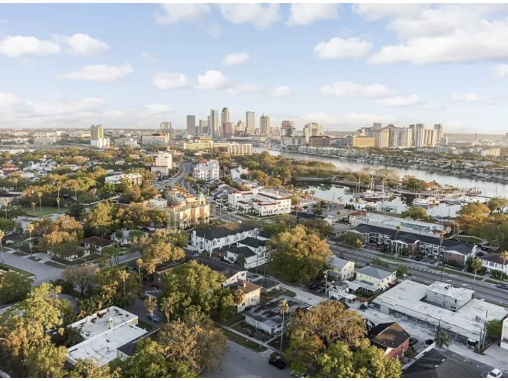 121 Danube Avenue Tampa FL 33606 A4667616 image3