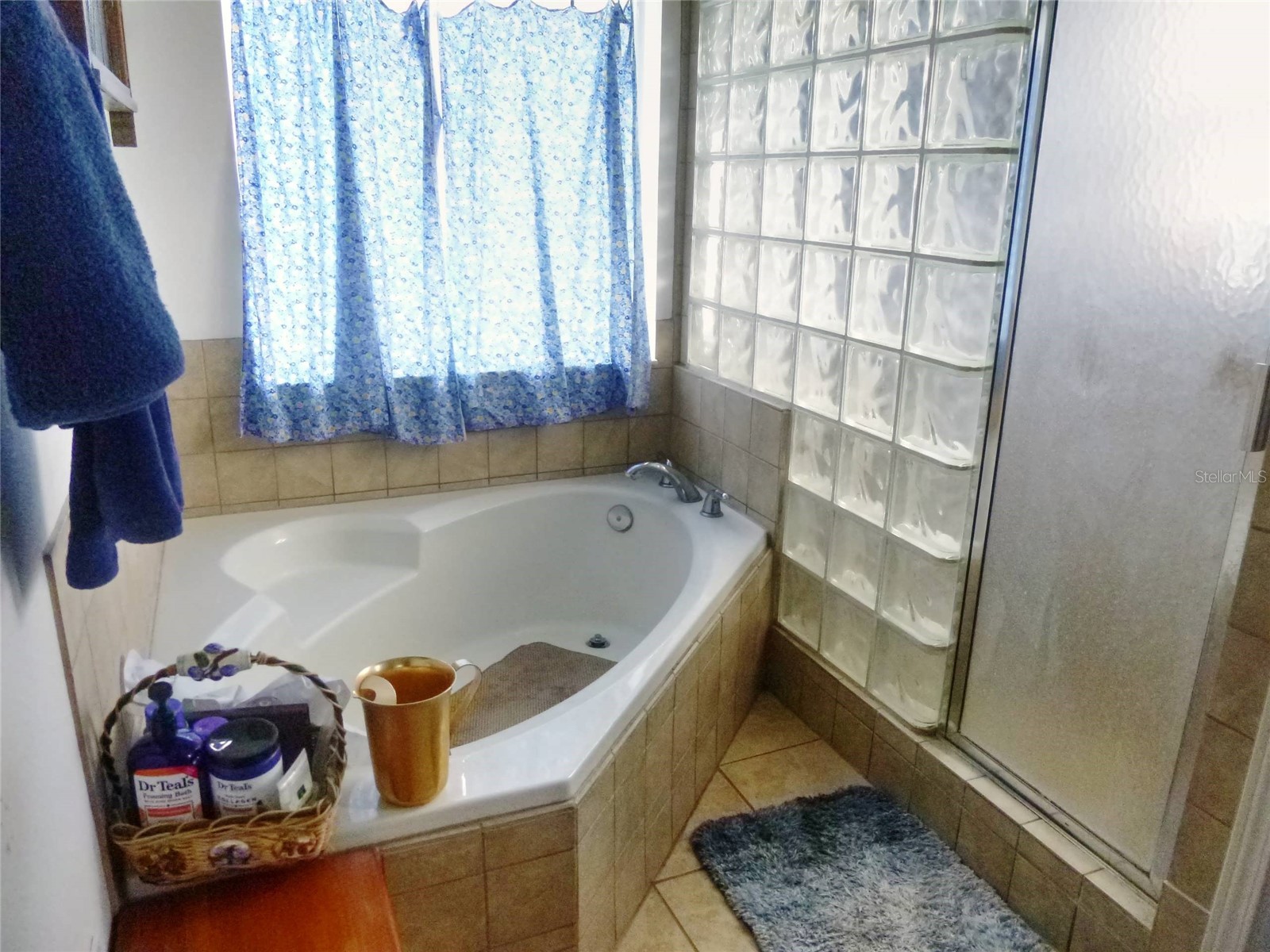 121 Deer Road Frostproof FL 33843 - LAKE REEDY K4903235 image40