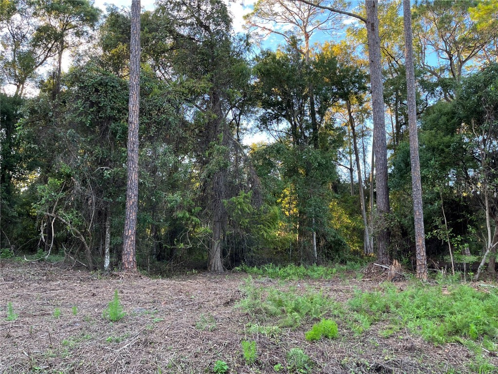 121 Dolphin Drive Georgetown FL 32139 OK221945 image1