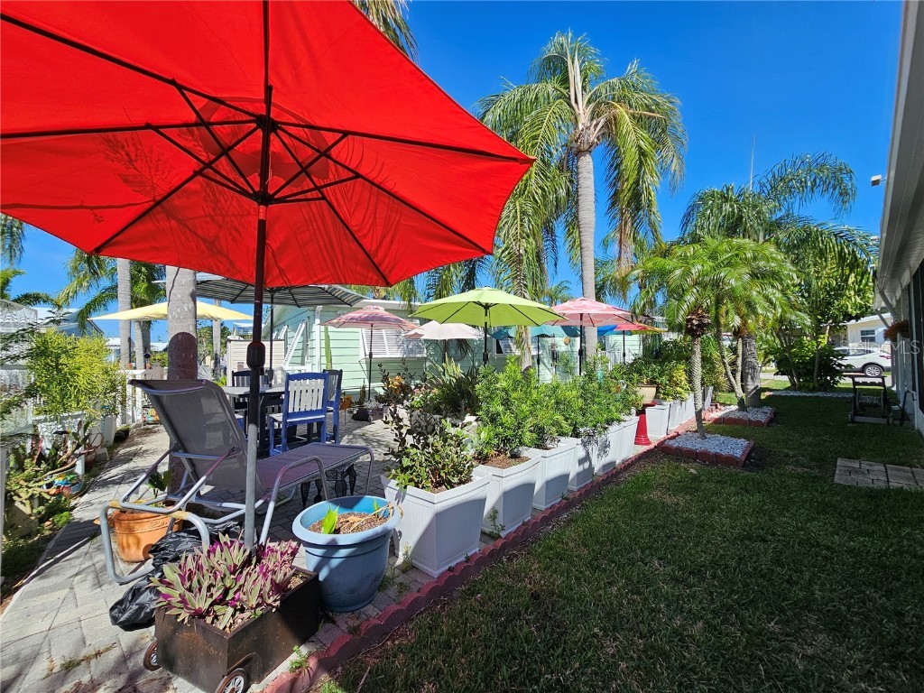 121 Dolphin Drive S Oldsmar FL 34677 TB8370574 image11