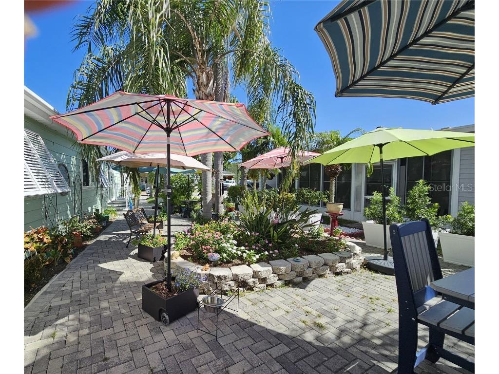 121 Dolphin Drive S Oldsmar FL 34677 TB8370574 image12