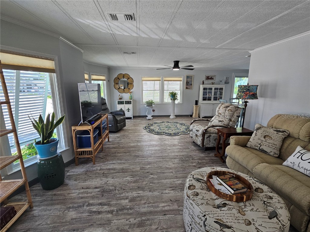 121 Dolphin Drive S Oldsmar FL 34677 TB8370574 image18