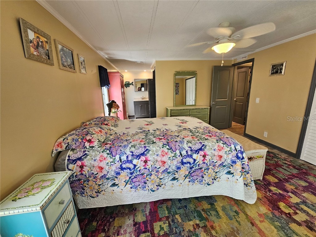 121 Dolphin Drive S Oldsmar FL 34677 TB8370574 image27