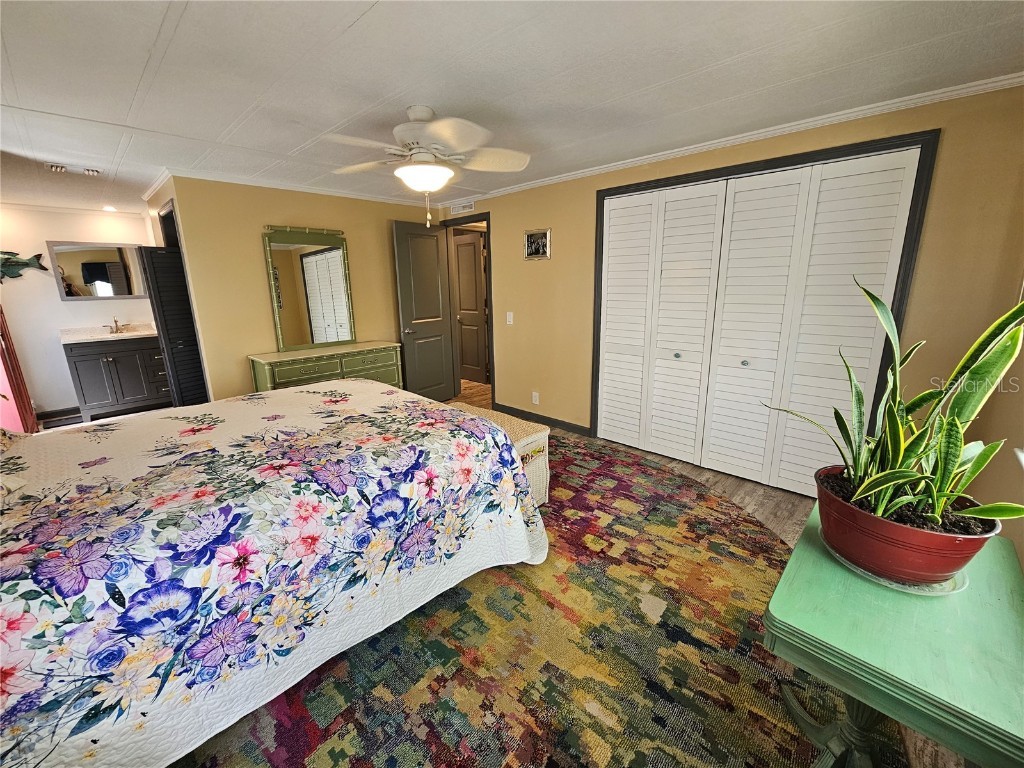 121 Dolphin Drive S Oldsmar FL 34677 TB8370574 image28