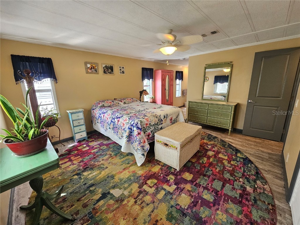 121 Dolphin Drive S Oldsmar FL 34677 TB8370574 image29