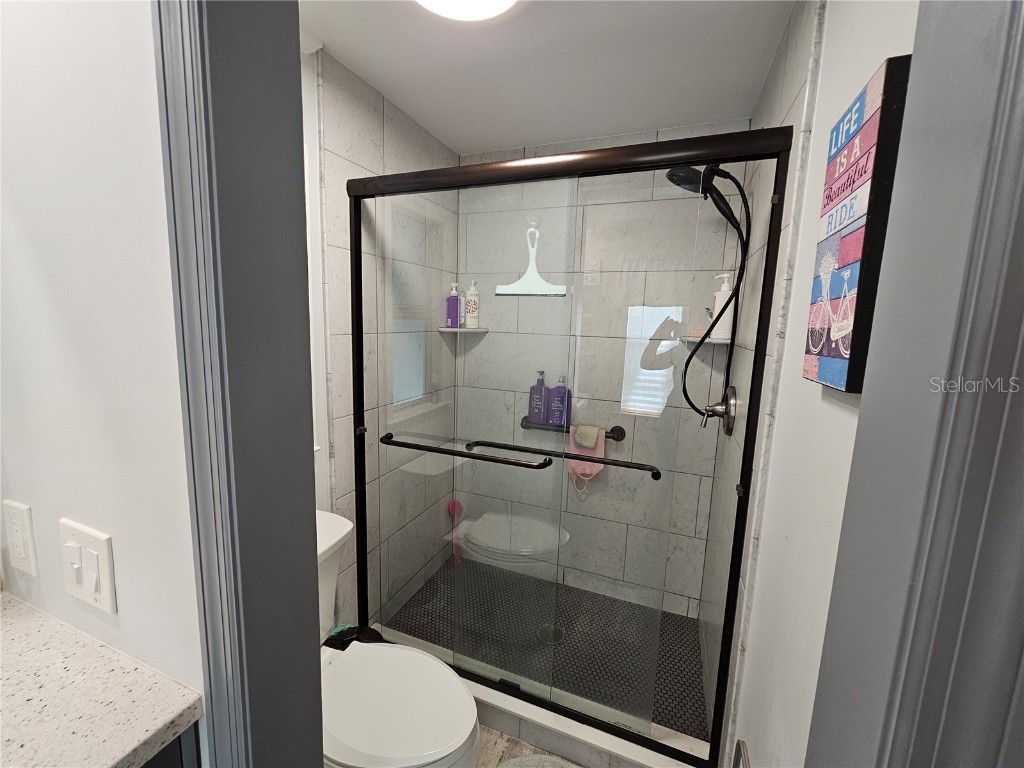 121 Dolphin Drive S Oldsmar FL 34677 TB8370574 image31