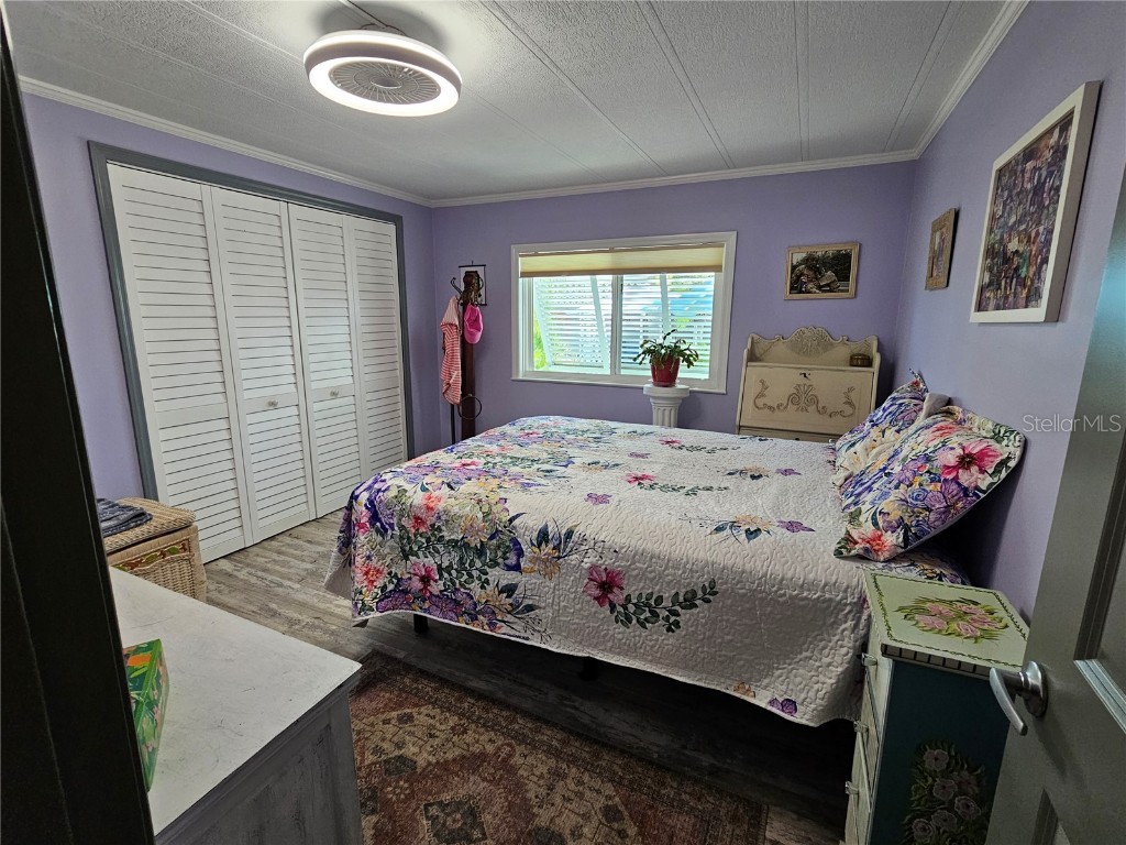 121 Dolphin Drive S Oldsmar FL 34677 TB8370574 image32