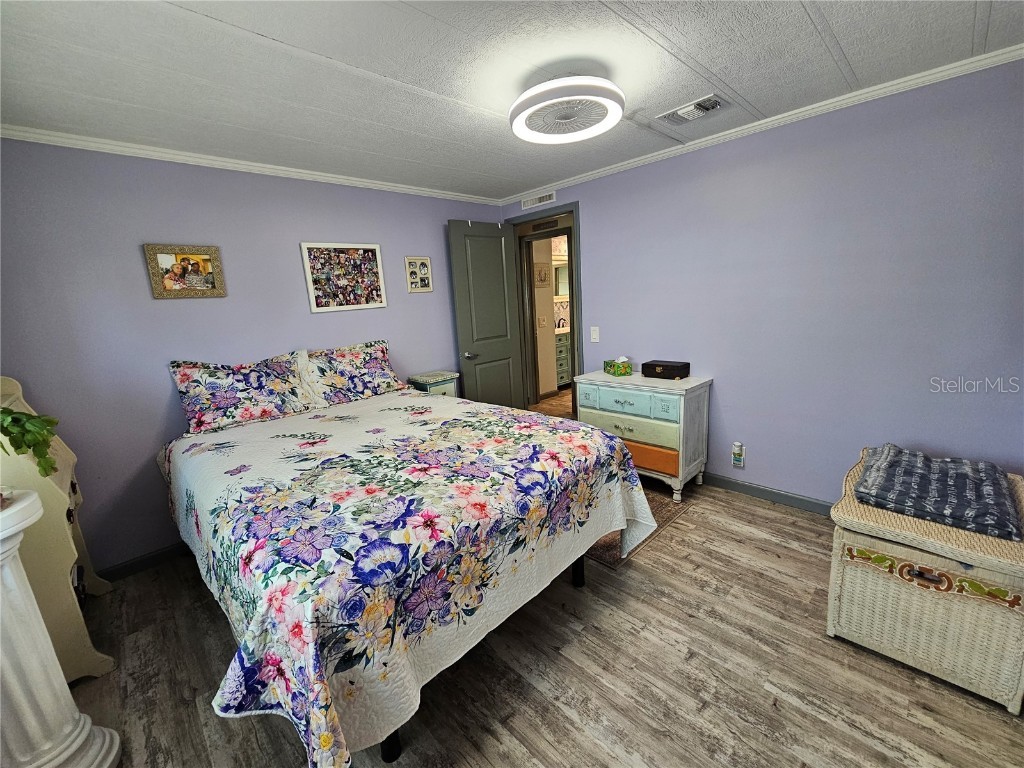 121 Dolphin Drive S Oldsmar FL 34677 TB8370574 image33