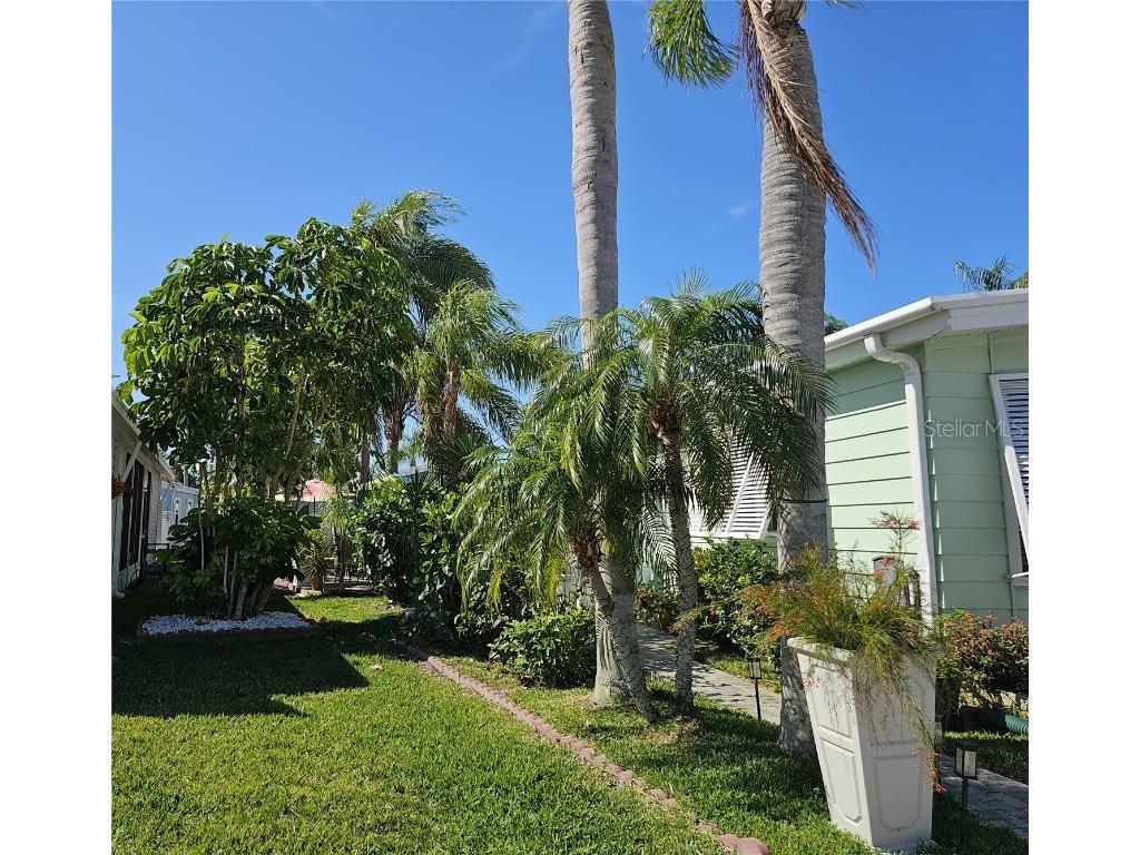 121 Dolphin Drive S Oldsmar FL 34677 TB8370574 image6