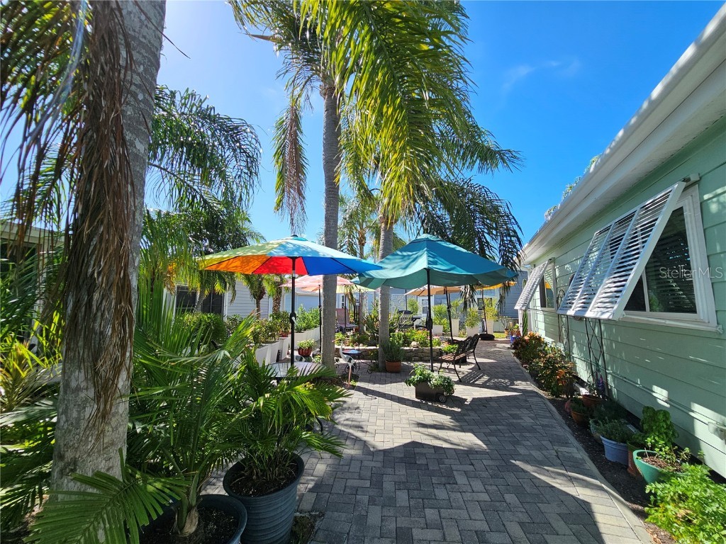 121 Dolphin Drive S Oldsmar FL 34677 TB8370574 image8