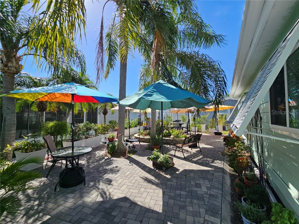 121 Dolphin Drive S Oldsmar FL 34677 TB8370574 image9