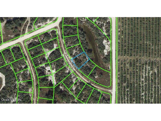 121 Danby Drive Lake Placid FL 33852 OM542095 image1