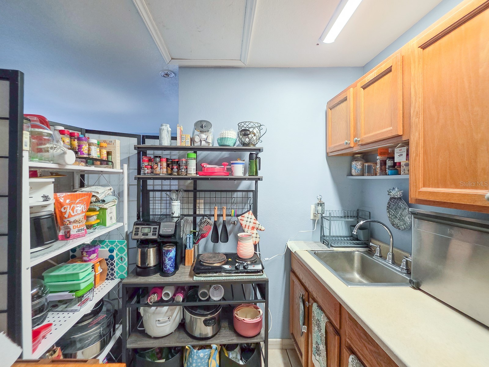 121 E Palm Way Edgewater FL 32132 NS1087973 image36