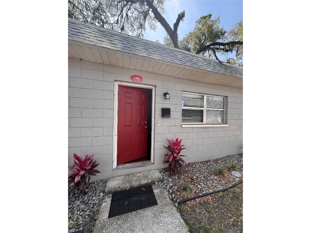 121 E Patterson Street #123 Lakeland FL 33803 U8242963 image1