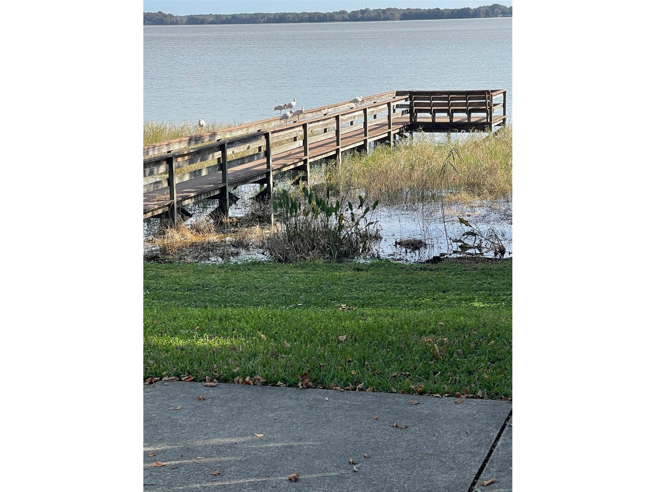 121 E Pine St Howey In The Hills FL 34737 - LITTLE LAKE HARRIS G5112224 image43