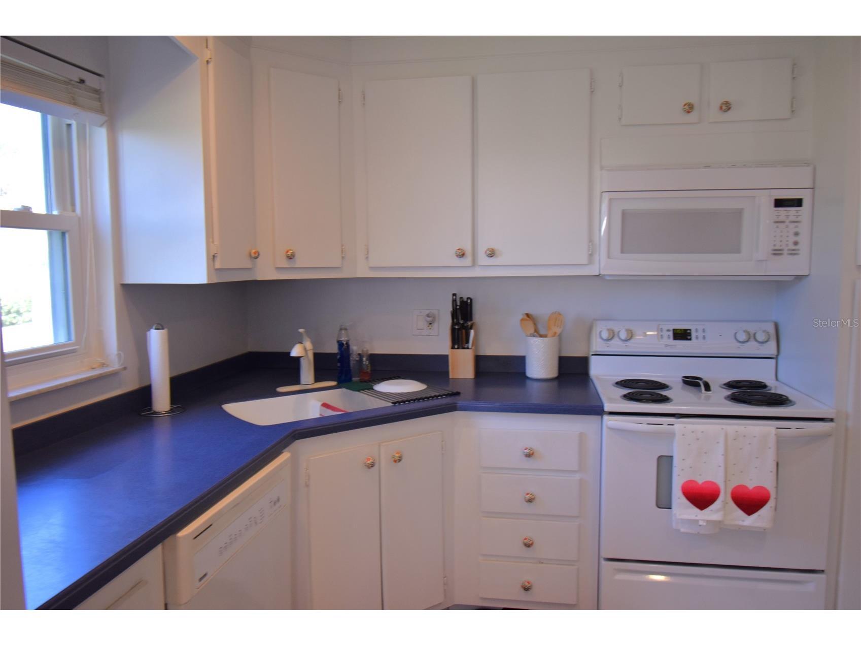 121 Fernwood Circle #121 Seminole FL 33777 - CANAL TO LAKE SEMINOLE TB8470542 image17