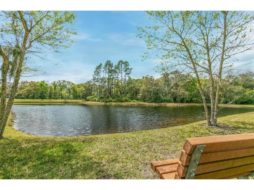 121 Grand Ravine Drive #121 Saint Augustine FL 32086 FC316134 image3