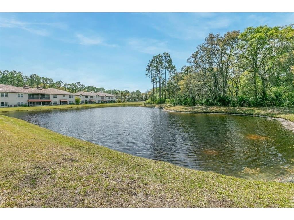 121 Grand Ravine Drive #121 Saint Augustine FL 32086 FC316134 image41