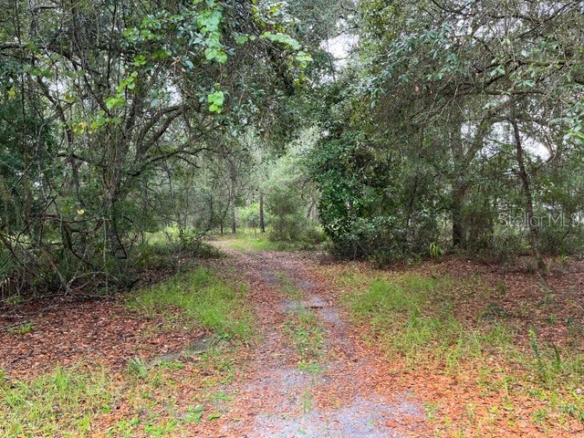 121 Hampton Circle Georgetown FL 32139 OK222990 image1