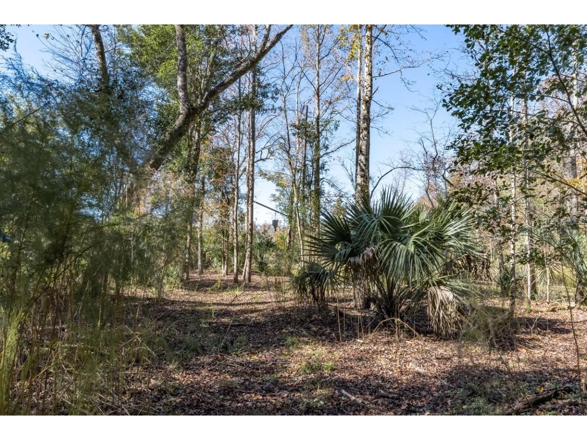 121 Heartwood Place Florahome FL 32140 O6164833 image1