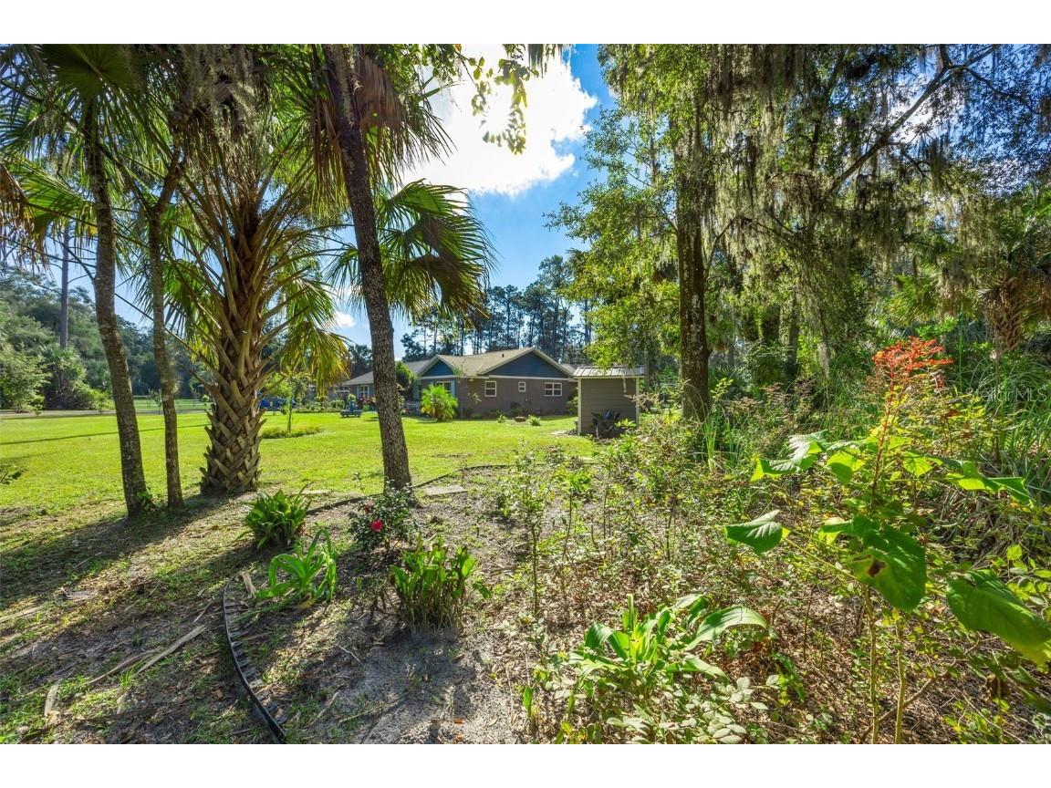 121 Herja Acre Lane Palatka FL 32177 FC314694 image3