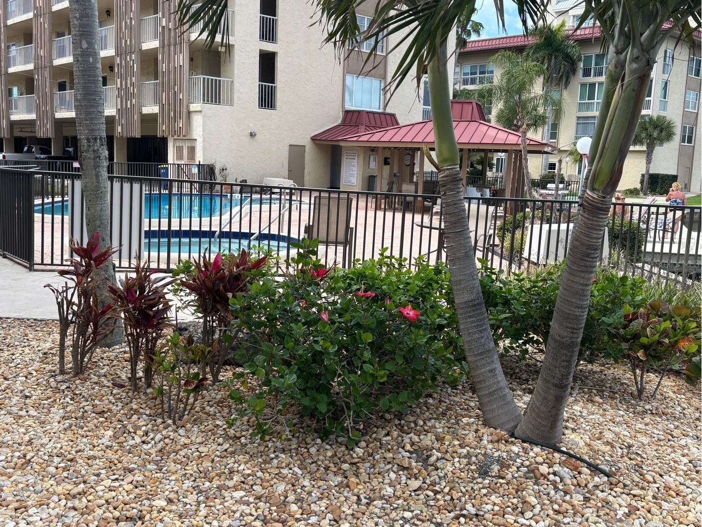 121 Island Way #331 Clearwater Beach FL 33767 TB8492545 image34