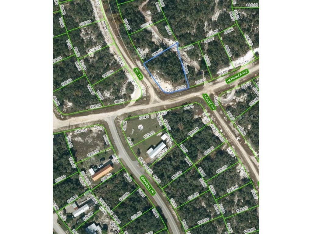 121 Joy Drive Lake Placid FL 33852 C7474237 image1