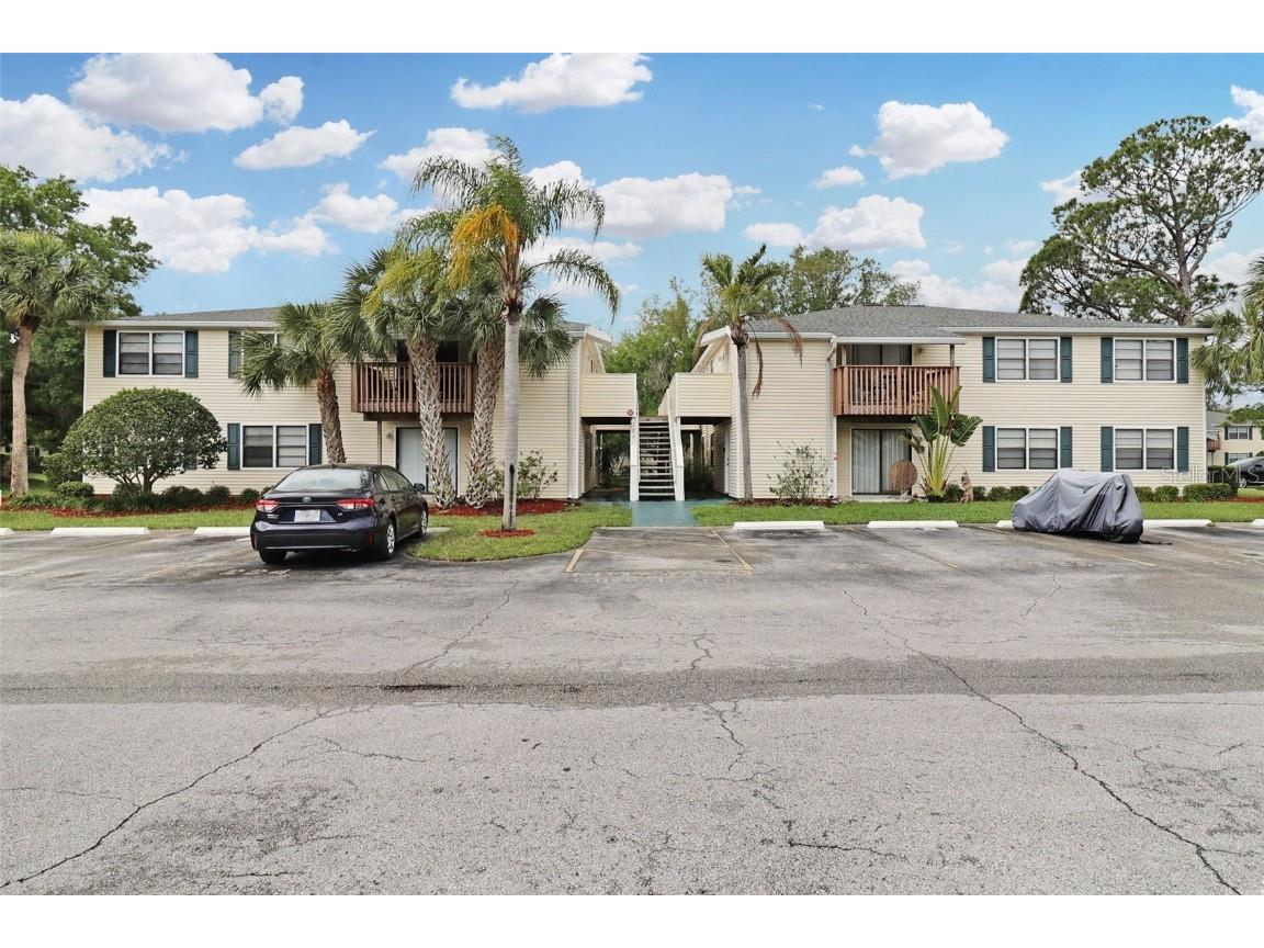 121 Loblolly Court #A Oldsmar FL 34677 T3515838 image1