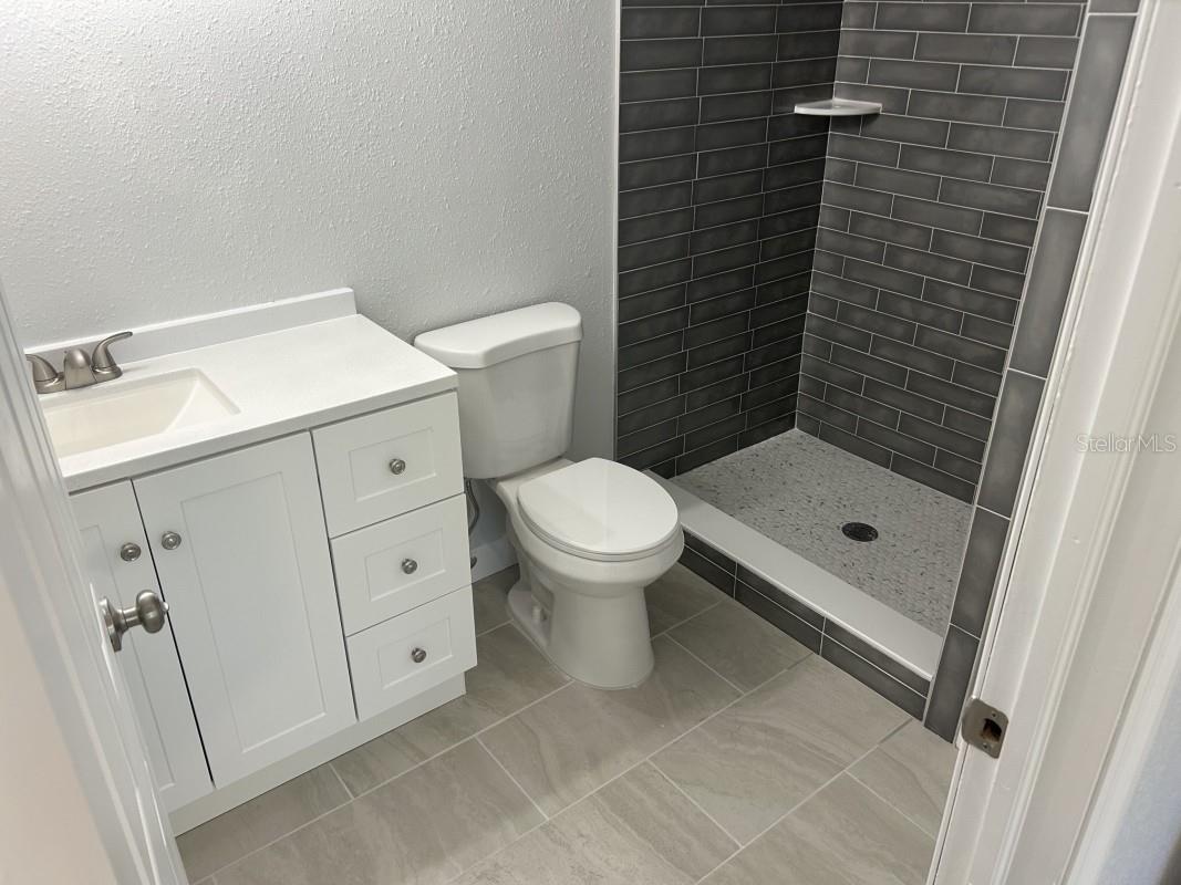 121 Loblolly Court #C Oldsmar FL 34677 A4692680 image6