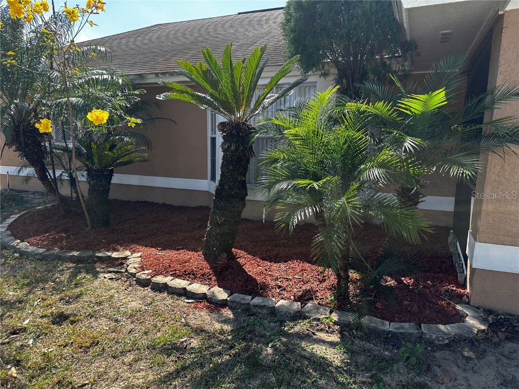 121 Loma Bonita Drive Davenport FL 33837 O6280847 image4