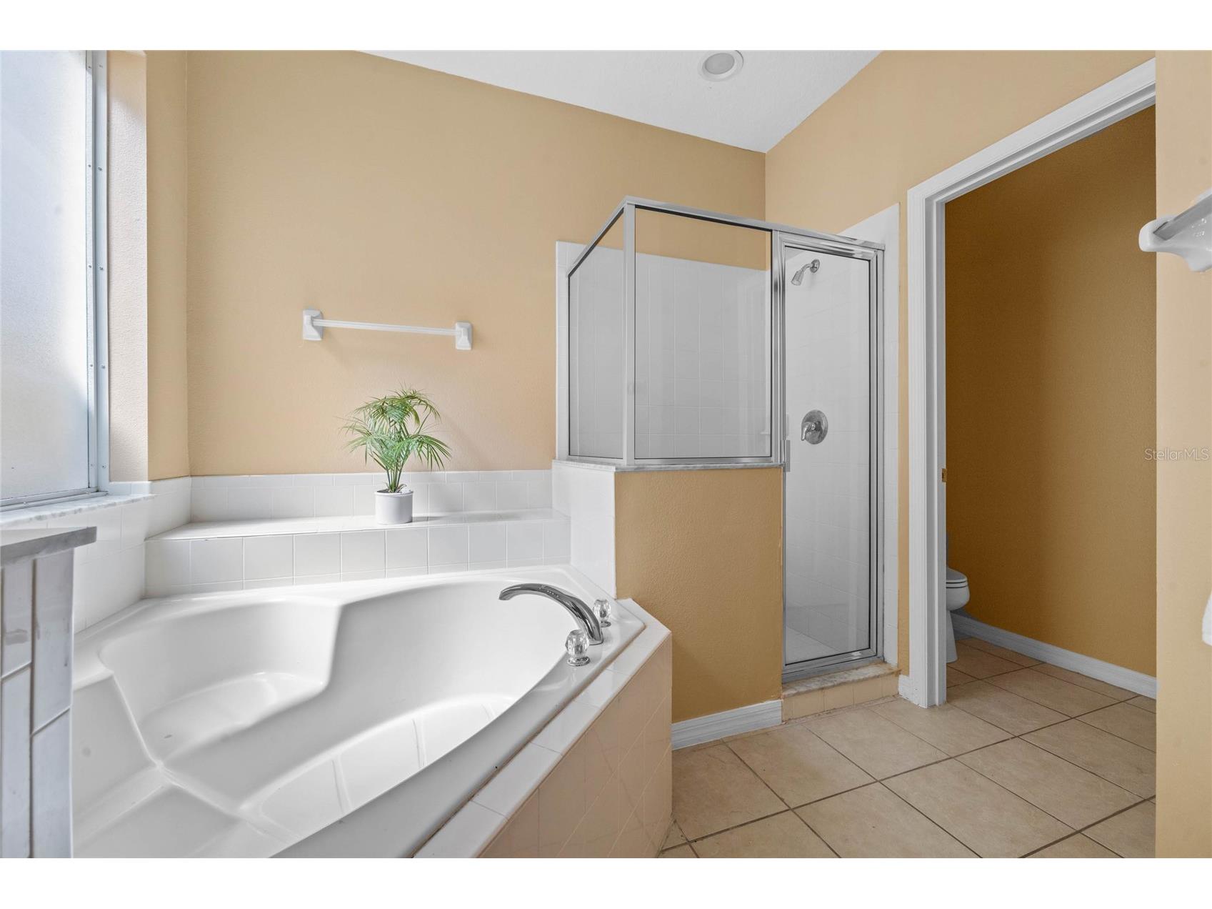 121 Madiera Beach Boulevard Kissimmee FL 34746 S5142833 image27