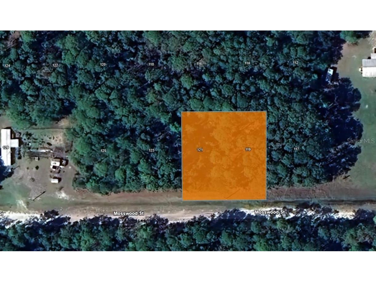 121 Mosswood Street Georgetown FL 32139 W7867354 image1