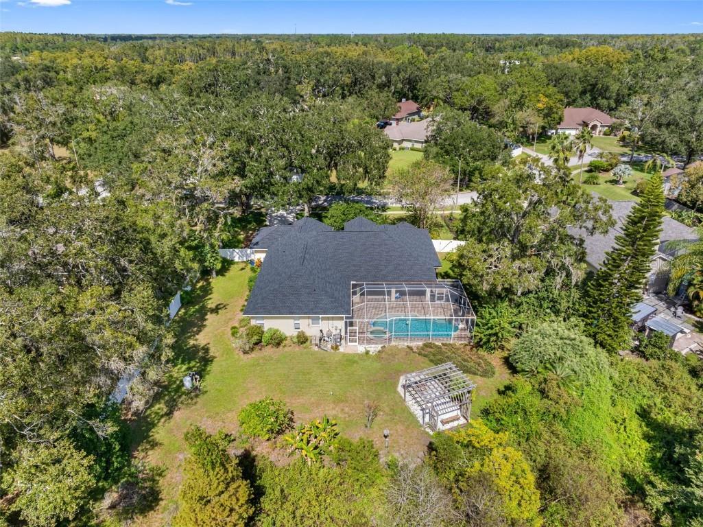 121 Myrtle Ridge Road Lutz FL 33549 TB8441205 image35