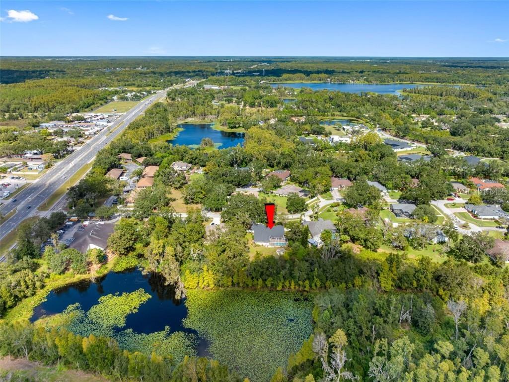 121 Myrtle Ridge Road Lutz FL 33549 TB8441205 image40