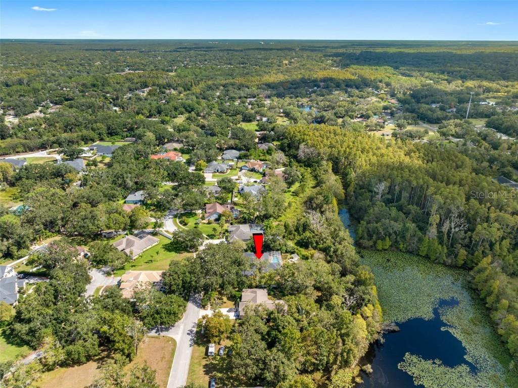 121 Myrtle Ridge Road Lutz FL 33549 TB8441205 image41