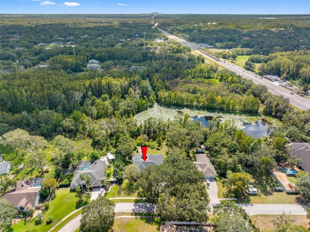 121 Myrtle Ridge Road Lutz FL 33549 TB8441205 image42