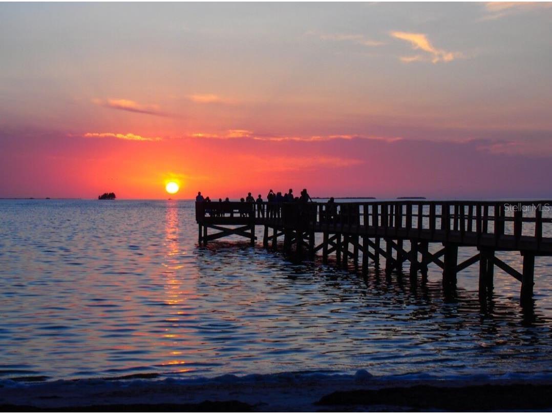 121 Pennsylvania Avenue Palm Harbor FL 34683 TB8491818 image22