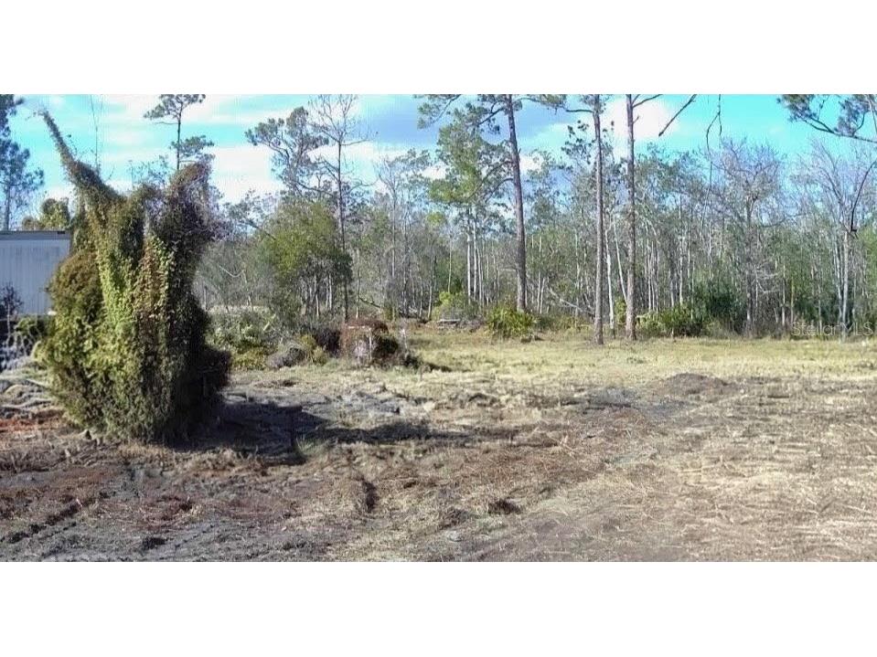 121 Persimmon Trail Lake Placid FL 33852 TB8481523 image1