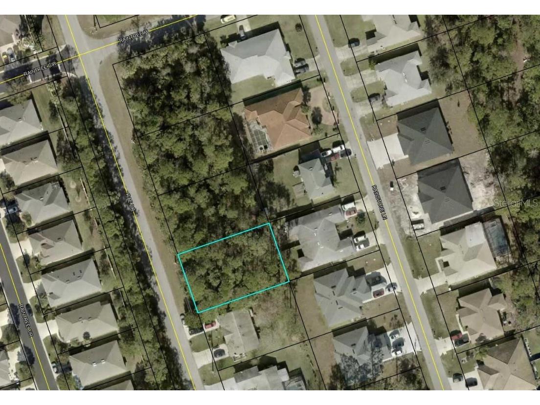 121 Rae Drive Palm Coast FL 32164 TB8410949 image1