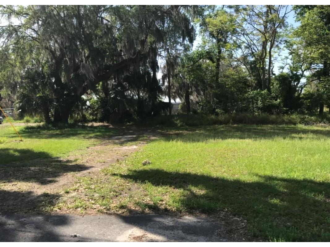 121 S Nixon Street Oakland FL 34760 O6352916 image1