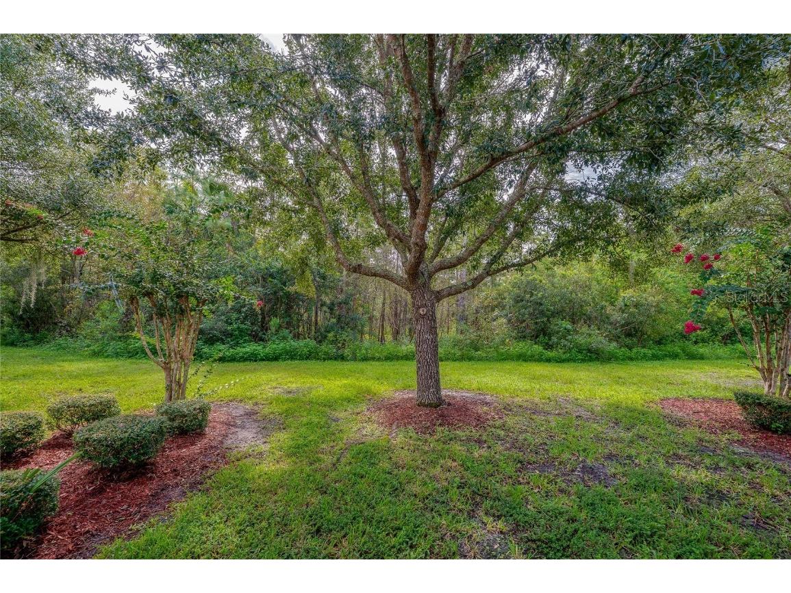 121 Sedona Circle Daytona Beach FL 32124 V4944684 image28